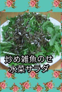 炒め雑魚のせ水菜サラダ
