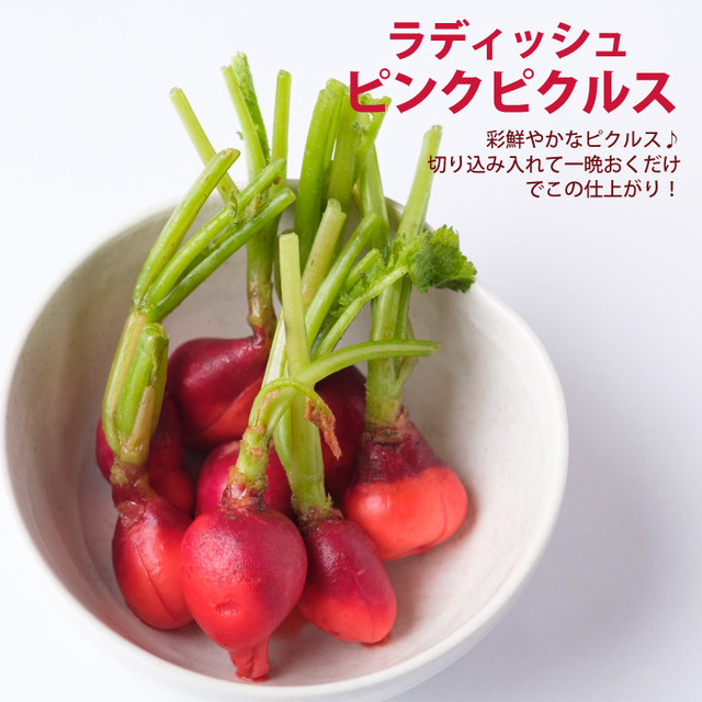 ラディッシュ ピンクピクルス レシピ 作り方 By 大分県シルブプレ クックパッド 簡単おいしいみんなのレシピが355万品 ラディッシュ ピンクピクルス レシピ 作り方 By 大分県シルブプレ クックパッド 簡単おいしいみんなのレシピが355万品