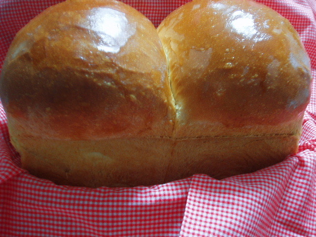 ほっかほかの山型食パンの画像