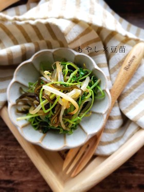5分で完成☆豆苗ともやしの塩昆布ナムル