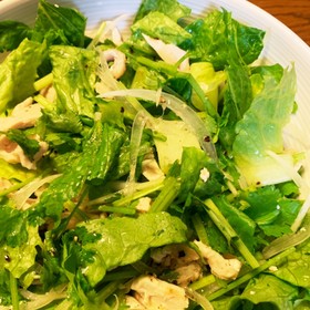 レンチン蒸し鶏とパクチーのサラダ