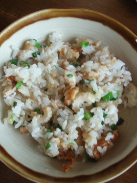 ネギとちくわだけの 炒飯♪