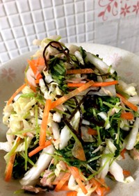 簡単！豆苗と白菜の塩昆布サラダ