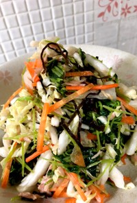 簡単！豆苗と白菜の塩昆布サラダ