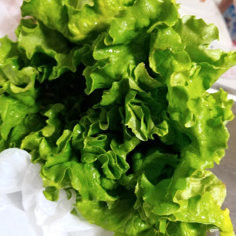 みんなが作ってる レタス 保存 つまようじのレシピ クックパッド 簡単おいしいみんなのレシピが355万品