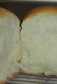自家製ﾖｰｸﾞﾙﾄ酵母 de 山型食パン