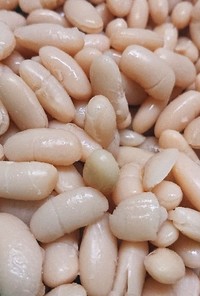 乾燥豆(白インゲン豆)の水煮