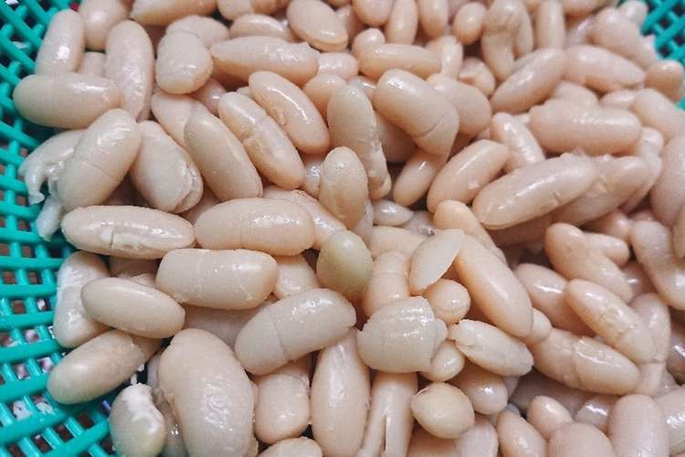 乾燥豆 白インゲン豆 の水煮 レシピ 作り方 By Taesun クックパッド 簡単おいしいみんなのレシピが357万品