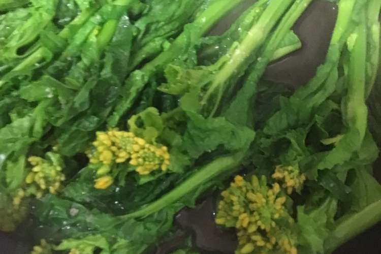 菜の花の茹で方絞り方 レシピ 作り方 By Xyzクック クックパッド 簡単おいしいみんなのレシピが361万品