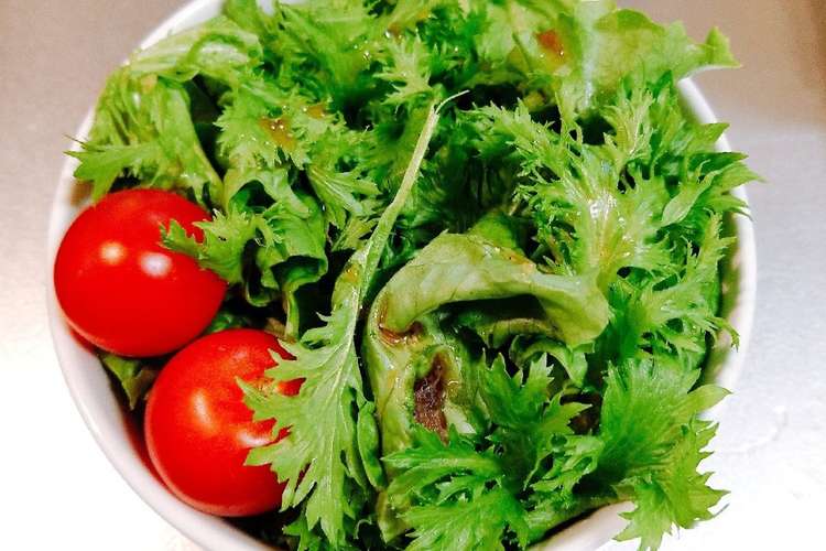 レタスとわさび菜のサラダ ドレッシング レシピ 作り方 By ちぇるこ クックパッド 簡単おいしいみんなのレシピが359万品