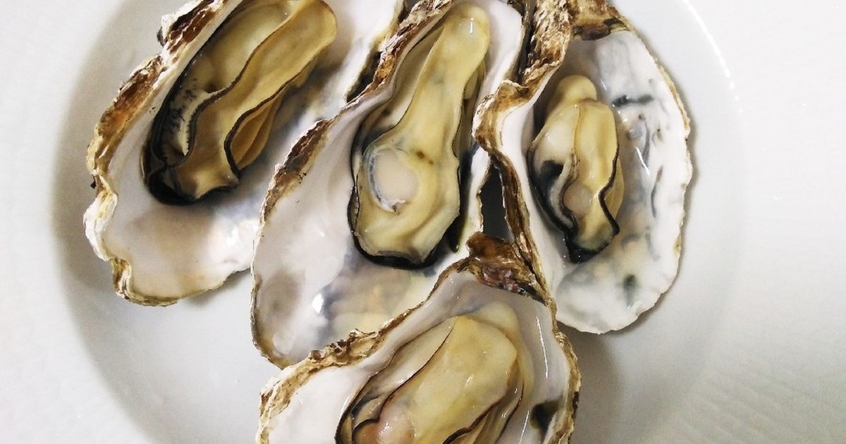 殻付き牡蠣を簡単に開ける方法 レシピ 作り方 By 浜野水産 広島牡蠣 クックパッド 簡単おいしいみんなのレシピが358万品