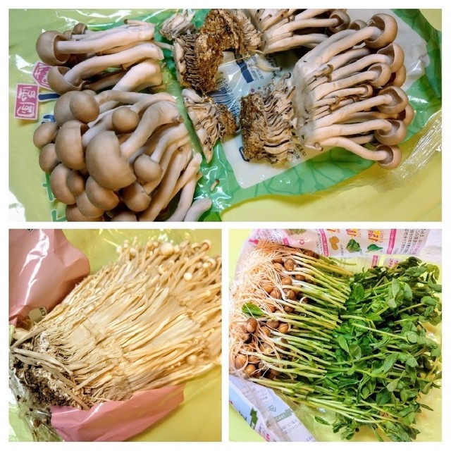 えのき しめじ 豆苗等野菜の切り方決定版 レシピ 作り方 By アイリッシュショコラ クックパッド 簡単おいしいみんなのレシピが358万品