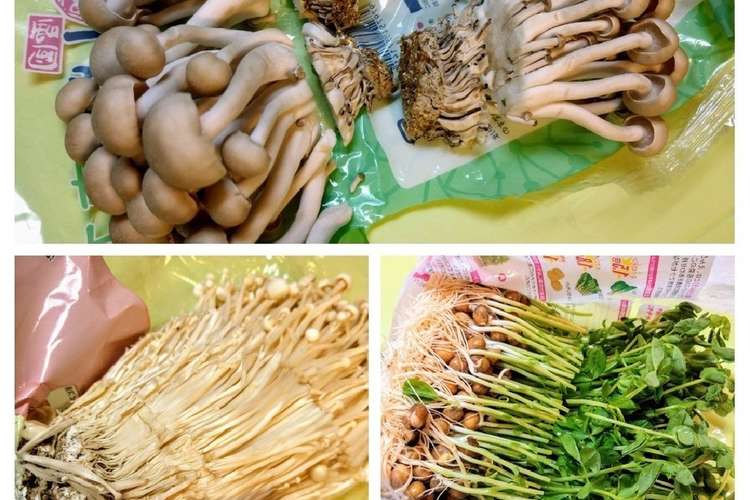 えのき しめじ 豆苗等野菜の切り方決定版 レシピ 作り方 By アイリッシュショコラ クックパッド 簡単おいしいみんなのレシピが357万品