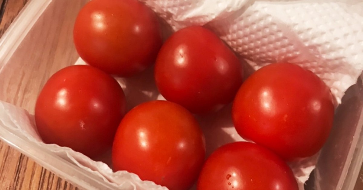 新鮮長持ち ミニトマトの長期保存 レシピ 作り方 By Riko クックパッド 簡単おいしいみんなのレシピが375万品