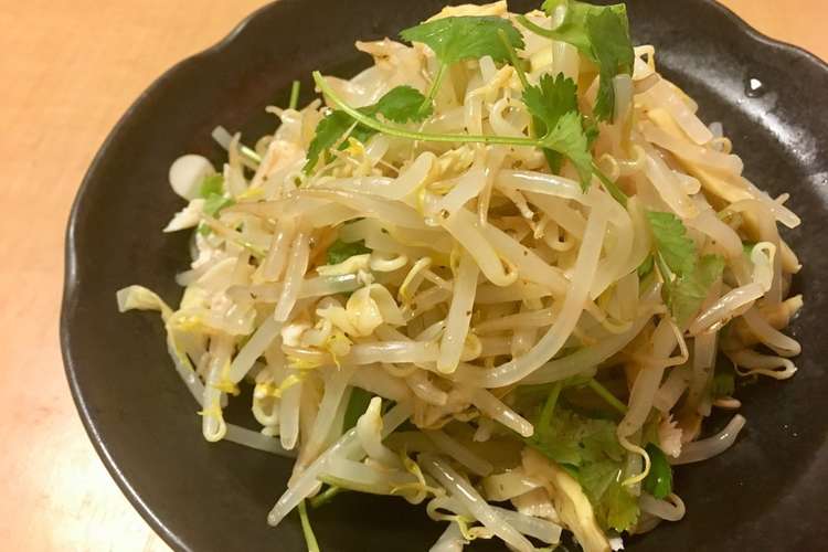パクチーともやしのサラダ レシピ 作り方 By Tarocookn クックパッド 簡単おいしいみんなのレシピが357万品