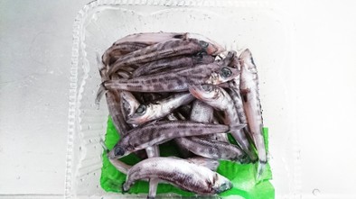 深海魚メヒカリの下ごしらえの写真