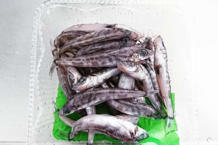 深海魚メヒカリの下ごしらえ レシピ 作り方 By まくらうた クックパッド 簡単おいしいみんなのレシピが356万品