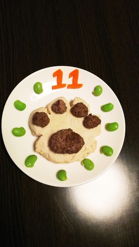 もちろん作ったよ♪愛犬のケーキご飯