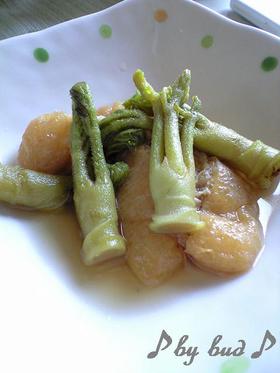 【定番】春の香り♪たらの芽とおあげの煮物