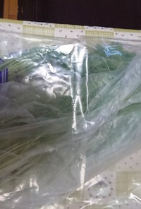 水菜の保存