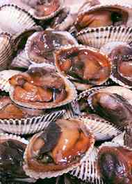 みんなが作ってる サルボウのレシピ クックパッド 簡単おいしいみんなのレシピが353万品