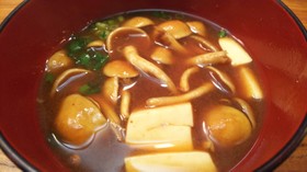簡単絶品・なめこと豆腐の赤だし味噌汁