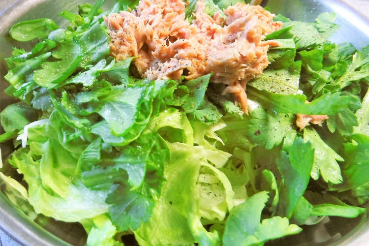 ただ美味しいレタス 春菊サラダ レシピ 作り方 By おかって菜園 クックパッド 簡単おいしいみんなのレシピが352万品