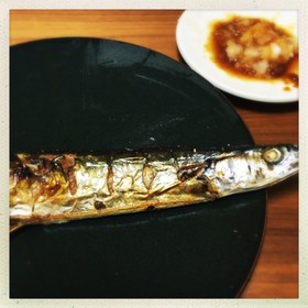秋刀魚の塩焼き (片面焼きグリル)