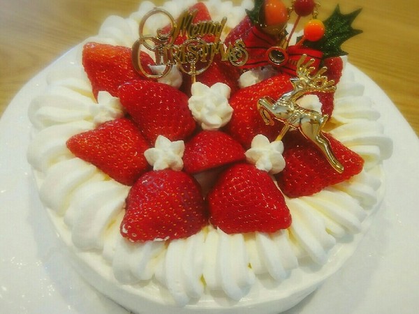 2018クリスマスケーキ(デコ記録)