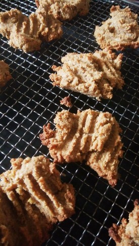 おから きなこのクッキー