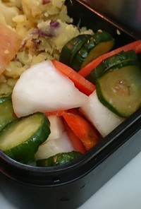 三色野菜の塩サラダ