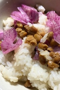 納豆と紫大根のまぜご飯