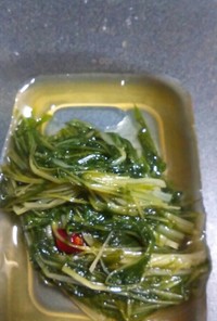 初の水菜の漬け物☆レンジで簡単☆