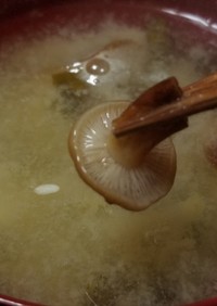 天然エノキダケと白菜の味噌汁