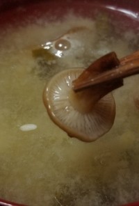 天然エノキダケと白菜の味噌汁