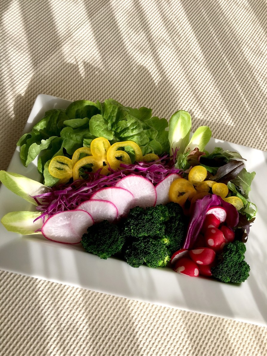 サラダ 野菜サラダ フレッシュサラダの画像