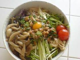 温泉納豆うどん