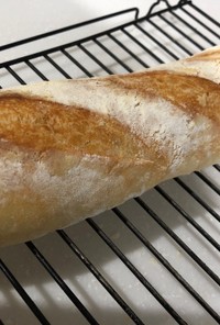 フランスパン ヨーグルト酵母