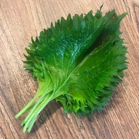 新鮮長持ち♡大葉の長期保存