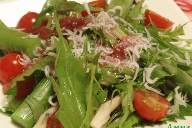 水菜としらすのサラダ 梅肉ドレッシング レシピ 作り方 By わ い 出来たよ クックパッド 簡単おいしいみんなのレシピが366万品