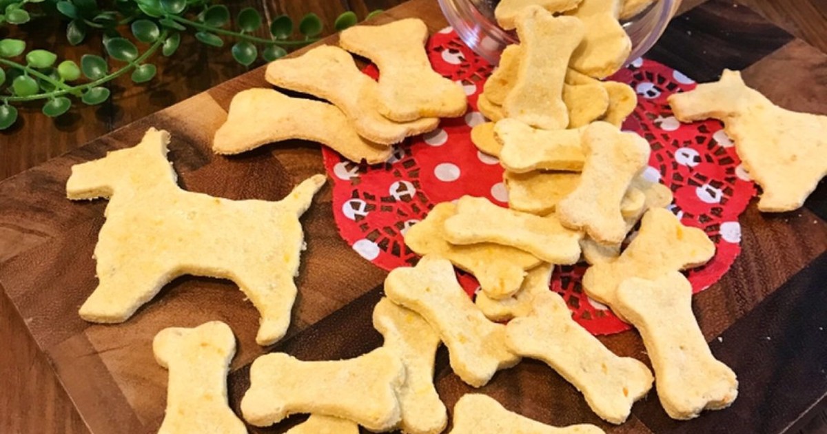 愛情たっぷり 愛犬用おからクッキー レシピ 作り方 By Riko クックパッド 簡単おいしいみんなのレシピが350万品