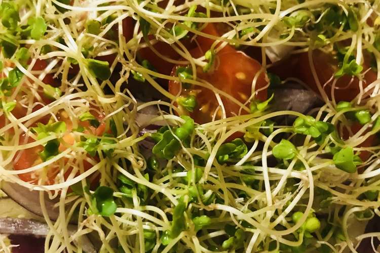 スプラウトとキャベツの鳥の巣サラダ レシピ 作り方 By Bistromiti クックパッド 簡単おいしいみんなのレシピが349万品