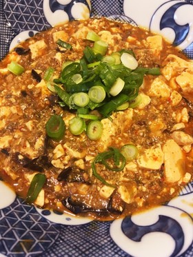 ネギたっぷり四川風麻婆豆腐