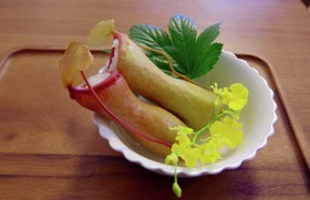 ウツボカズラ飯