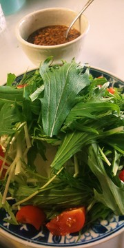 水菜と大根と長芋のサラダの写真