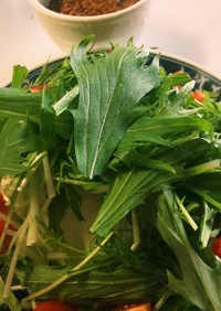 水菜と大根と長芋のサラダ