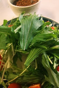 水菜と大根と長芋のサラダ