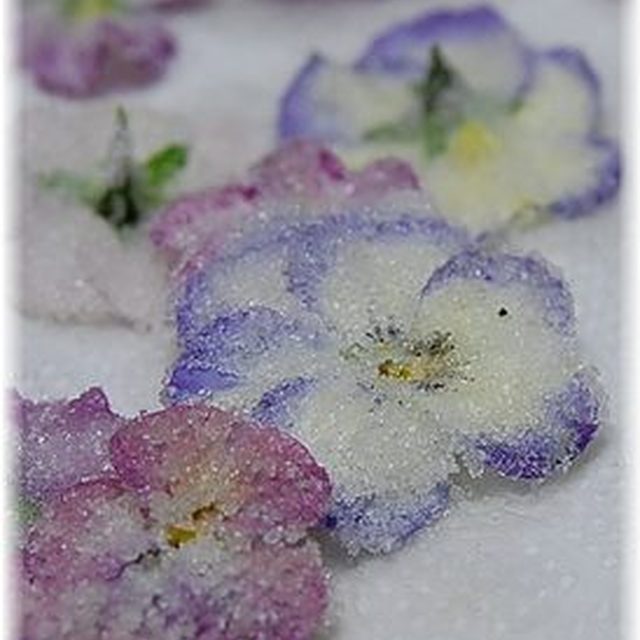 スミレの砂糖漬け レシピ 作り方 By Commeline クックパッド 簡単おいしいみんなのレシピが378万品