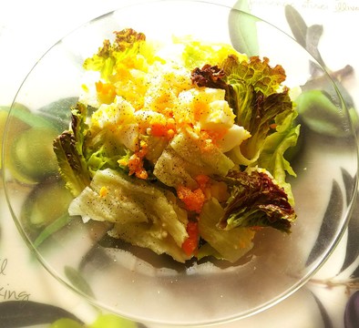 レタスと半熟卵のシーザーサラダ風の写真