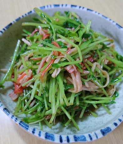 簡単☆豆苗の中華風サラダの写真